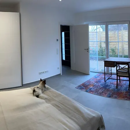 Apartment Smart Dog