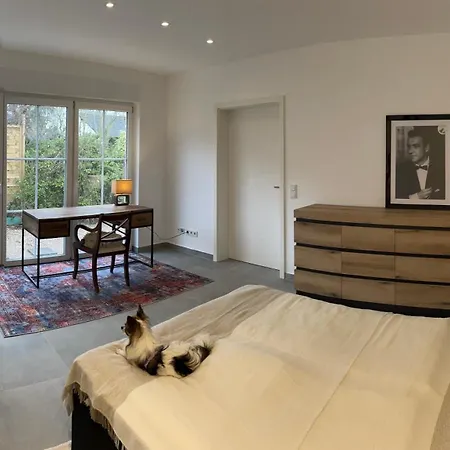 Apartment Smart Dog *
